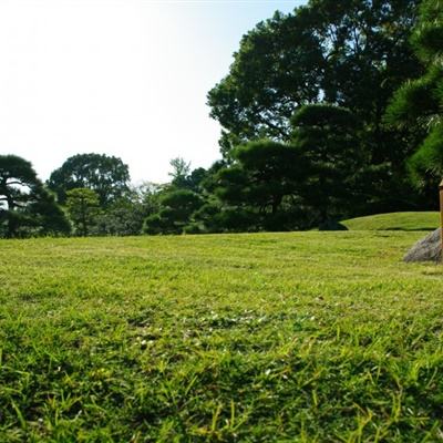 温岭市：“体检”变电站 安全“过冬迎春节”