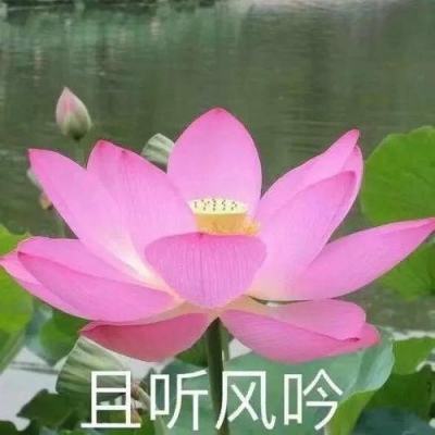 无需额外电力 新型海水淡化系统可充分利用太阳能