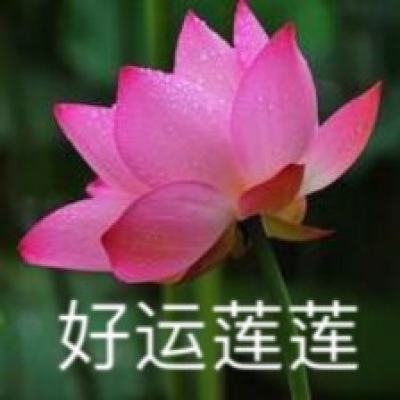 四川省凉山州盐源县一男孩辍学在家卖苹果供哥哥读北大？谣言！