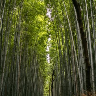 写了一本学术界“揭黑”大全，他说只想教年轻人“避雷”